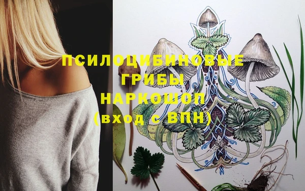 твердый Абинск