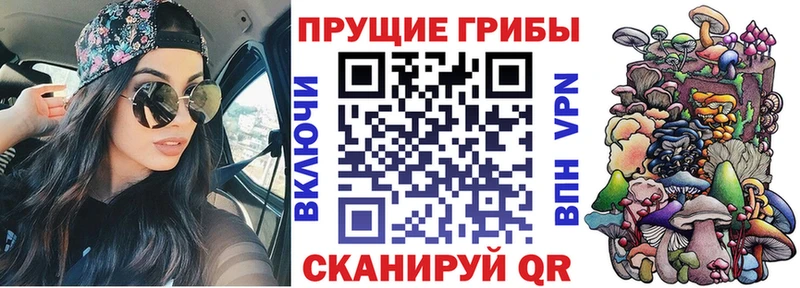 Галлюциногенные грибы Psilocybine cubensis купить наркотик blacksprut зеркало Алексин